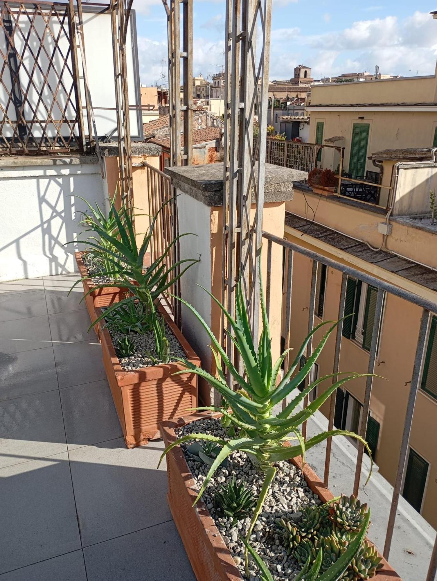 Colosseum Exclusive Duplex Rome Bagian luar foto